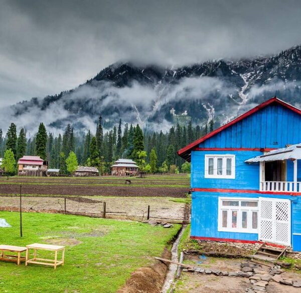 Arang Kel